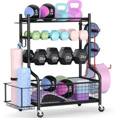 a rack with dumbs, kettles and exercise balls on it's wheels