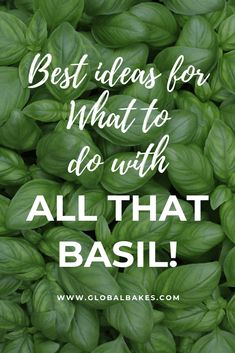 green basil leaves with the words best ideas for what to do with all that basil