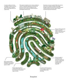 an illustrated diagram of a garden with lots of trees