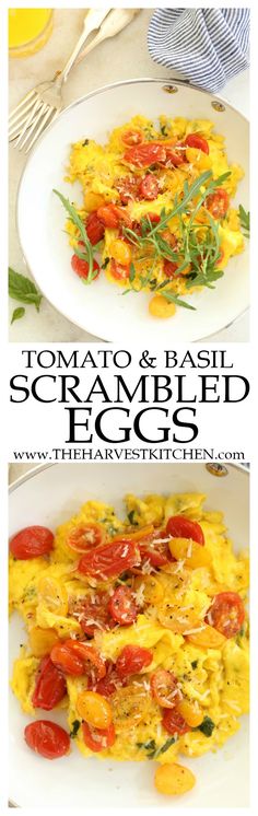 two plates filled with scrambled eggs and tomatoes