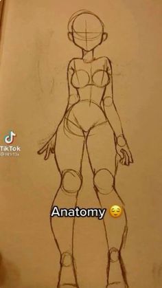 a drawing of a woman's body with the words anatomy written in front of it