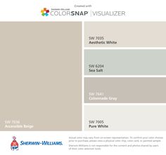 the color scheme for colorsnap visualizer is shown in shades of gray, brown and