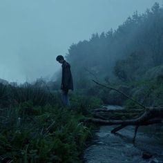 a man standing on top of a lush green hillside next to a forest filled with trees