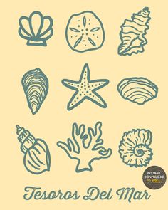 various seashells and starfish are drawn in blue ink on a yellow background