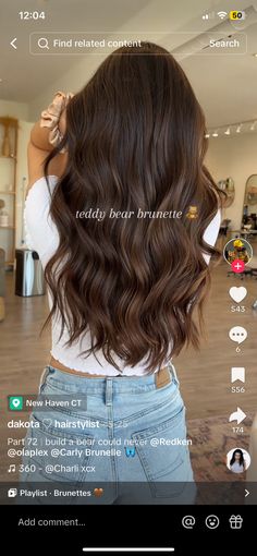 Deep Brunette Balayage, Brunnete Hair Highlight, Teddy Brunette, Teddy Bear Highlights, Teddy Bear Brunette, Warm Dimensional Brunette, Teddy Bear Hair Color, Teddy Bear Brunette Hair, Teddy Bear Brown Hair