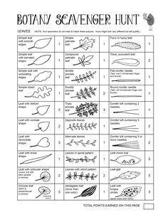 an activity sheet for children to learn how to draw leaves and other things in their hands