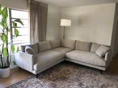 a living room with a large sectional couch and potted plant in the corner next to it