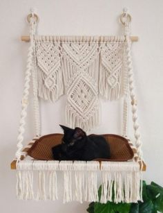 a black cat laying on top of a hammock hanging from a wall next to a potted plant