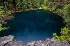 a blue pool surrounded by trees in the middle of a forest with rocks on either side