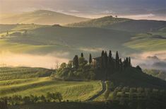 the rolling hills and valleys are covered in mist as the sun rises over an italian countryside