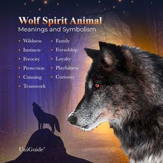 the wolf spirit animal meanings and symbols are displayed in front of a purple background with an image of a wolf