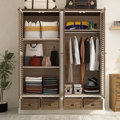 an open closet with clothes and luggage on shelves next to a potted palm tree