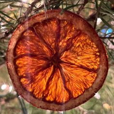 an orange cut in half hanging from a christmas tree ornament on a branch