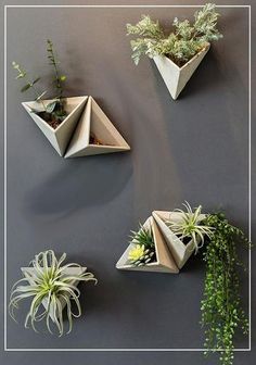 three planters are hanging on the wall next to each other