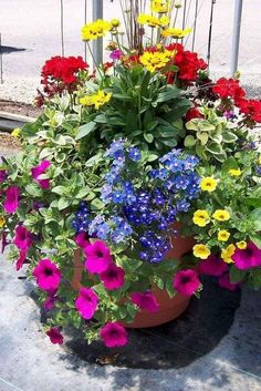 colorful flowers are growing in a pot on the sidewalk