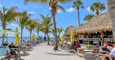 people sitting at tables on the beach under palm trees