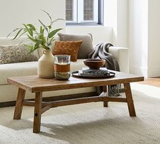 a living room with a couch, coffee table and potted plant on top of it