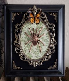 a framed image of a spider with a butterfly on it