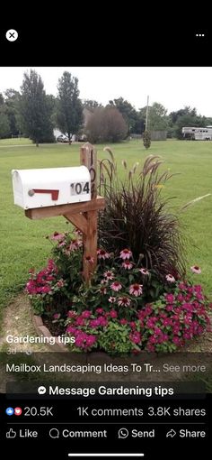 a mailbox sitting in the middle of a flower bed with pink flowers around it