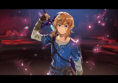 Botw Link, Hyrule Warriors