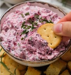 Cranberry Pepper Jelly Cheese Dip, Cranberry Japaleno Cream Cheese, Cranberry Jalapeno Dip Recipe, Cherry Jalapeno Cream Cheese Dip, Cranberry Jalopena Dip, Cranberry Jalopena Cream Cheese Dip, Cranberry Jalepeno Dip Costco Recipe, Raspberry Jalapeno Cream Cheese Dip, Jalapeno Cranberry Cream Cheese Dip