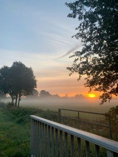 the sun is setting behind some trees on a foggy day in an open field