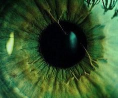 an extreme close up view of the iris of a green eye