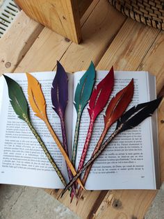 four colorful feathers on top of an open book