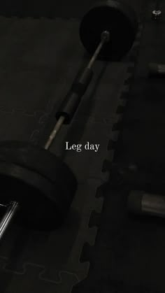 a barbell with the words leg day written on it