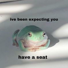 a green frog sitting on top of a white floor next to the words i've been expecting you have a seat