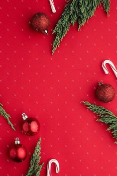 christmas decorations and candy canes on a red background