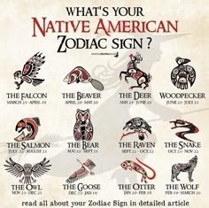 what's your native american zodiac sign? - the raven, the wolf, the eagle, the snake, and the owl