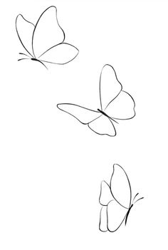 two butterflies flying in the air with one on its back and one on it's side