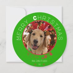 a christmas card with a photo of a golden retriever