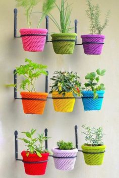 several different types of potted plants hanging on a wall