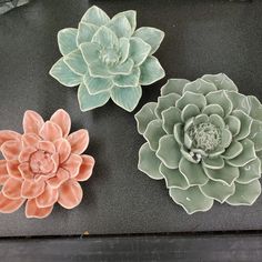 three ceramic succulents sitting on top of a black table next to each other