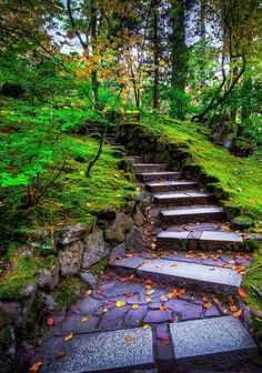 steps lead up to the top of a grassy hill with trees and leaves on it