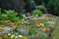 a garden filled with lots of different colored flowers