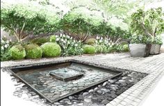 an artistic drawing of a garden with plants and water feature in the center, surrounded by stone pavers