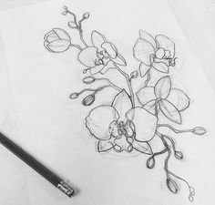 a pencil drawing of some flowers on a piece of paper with a pen next to it