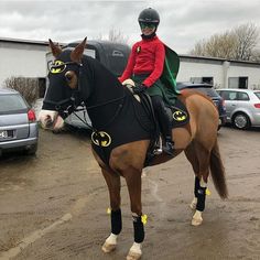 a person riding on the back of a brown horse in a parking lot with other cars