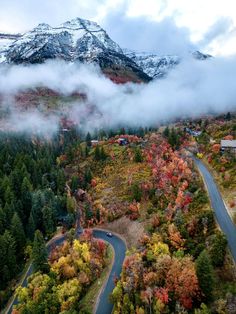 an aerial view of a road surrounded by trees with snow on the mountains in the background