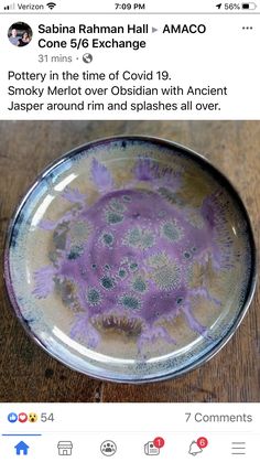 a plate with purple flowers on it and the caption says,'rotary in the time of covidd 19 smoky merlot over orbism with ancient jasper around rim and splashes all over '