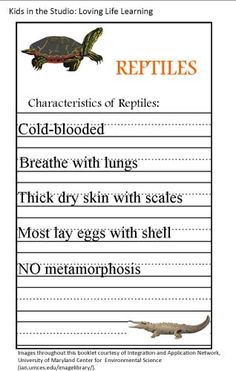 the reptiles worksheet for kids to learn how to use reptiles