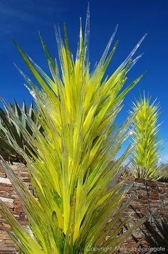 a tall green plant sitting next to a brick wall