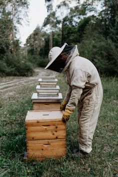 a beekeeper in full protective gear checking the beeshive for potential honeybees