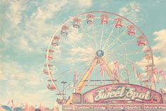 an amusement park with a ferris wheel and flags