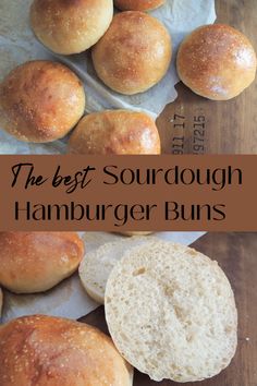 the best sourdough hamburger buns recipe