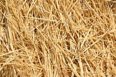 a close up view of hay that has been cut into smaller pieces and is brown