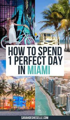 the words how to spend 1 perfect day in miami